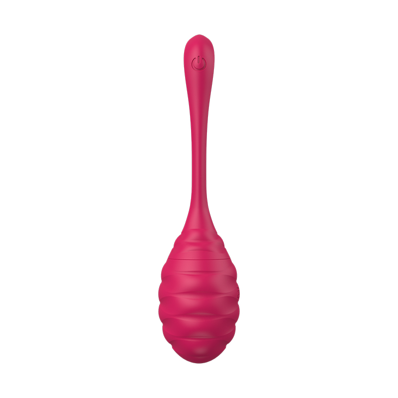 Wireless Wild Egg Vibrator 