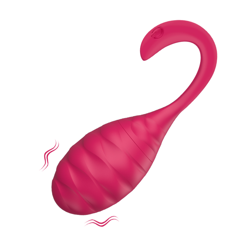 Wireless Wild Egg Vibrator 
