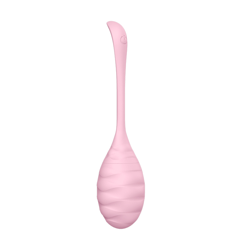 Wireless Wild Egg Vibrator 
