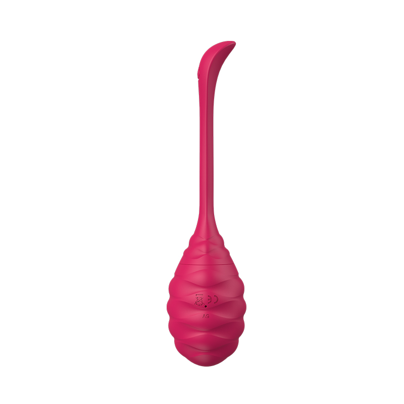Wireless Wild Egg Vibrator